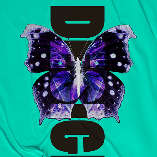 Promotion Butterfly Poster